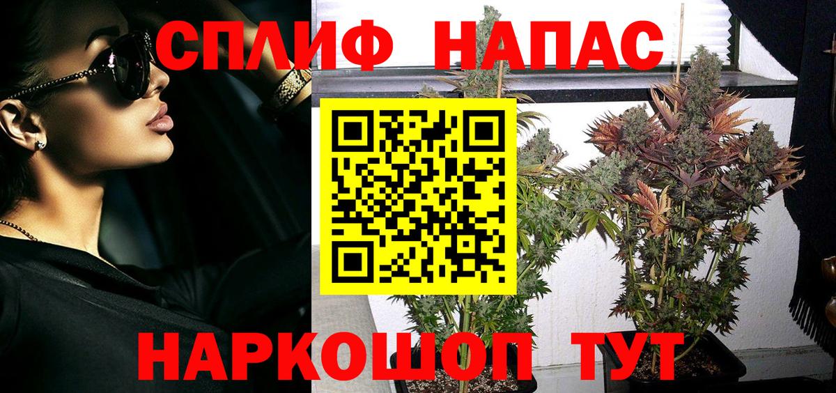 Назрань  ГАШ  Экстази  Меф МЯУ МЯУ   Вход с VPN  КОКАИН  МЕТАМФЕТАМИН  Канабис  ТГК 